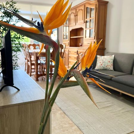 Apartament Piso Centrico Corazon De Aridane Los Llanos De Aridane Zewnętrze zdjęcie