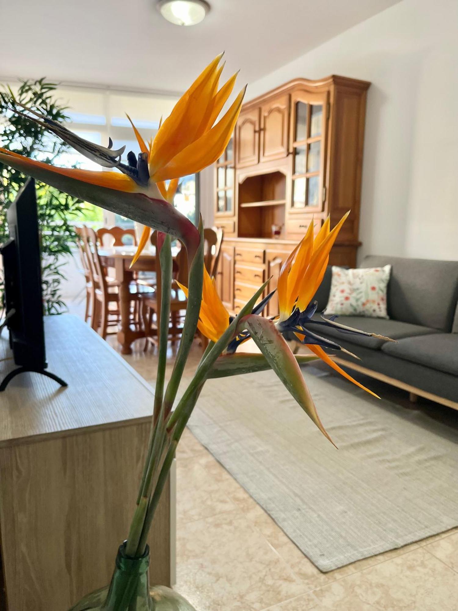 Apartament Piso Centrico Corazon De Aridane Los Llanos De Aridane Zewnętrze zdjęcie