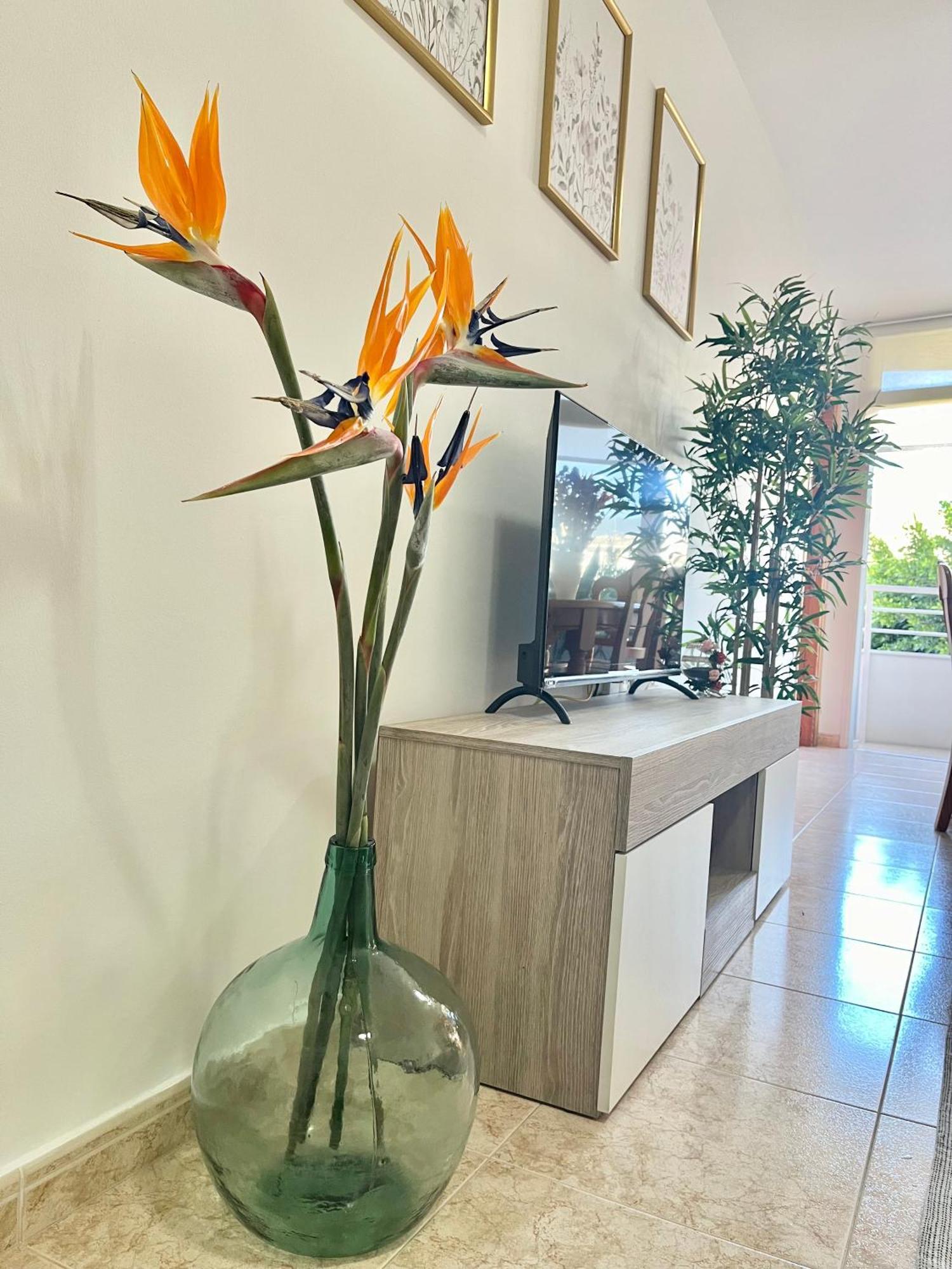 Apartament Piso Centrico Corazon De Aridane Los Llanos De Aridane Zewnętrze zdjęcie